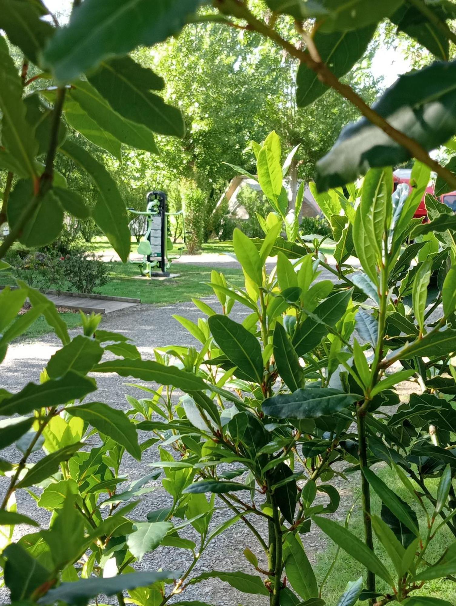 Camping Les Mancellieres Avrille  Экстерьер фото