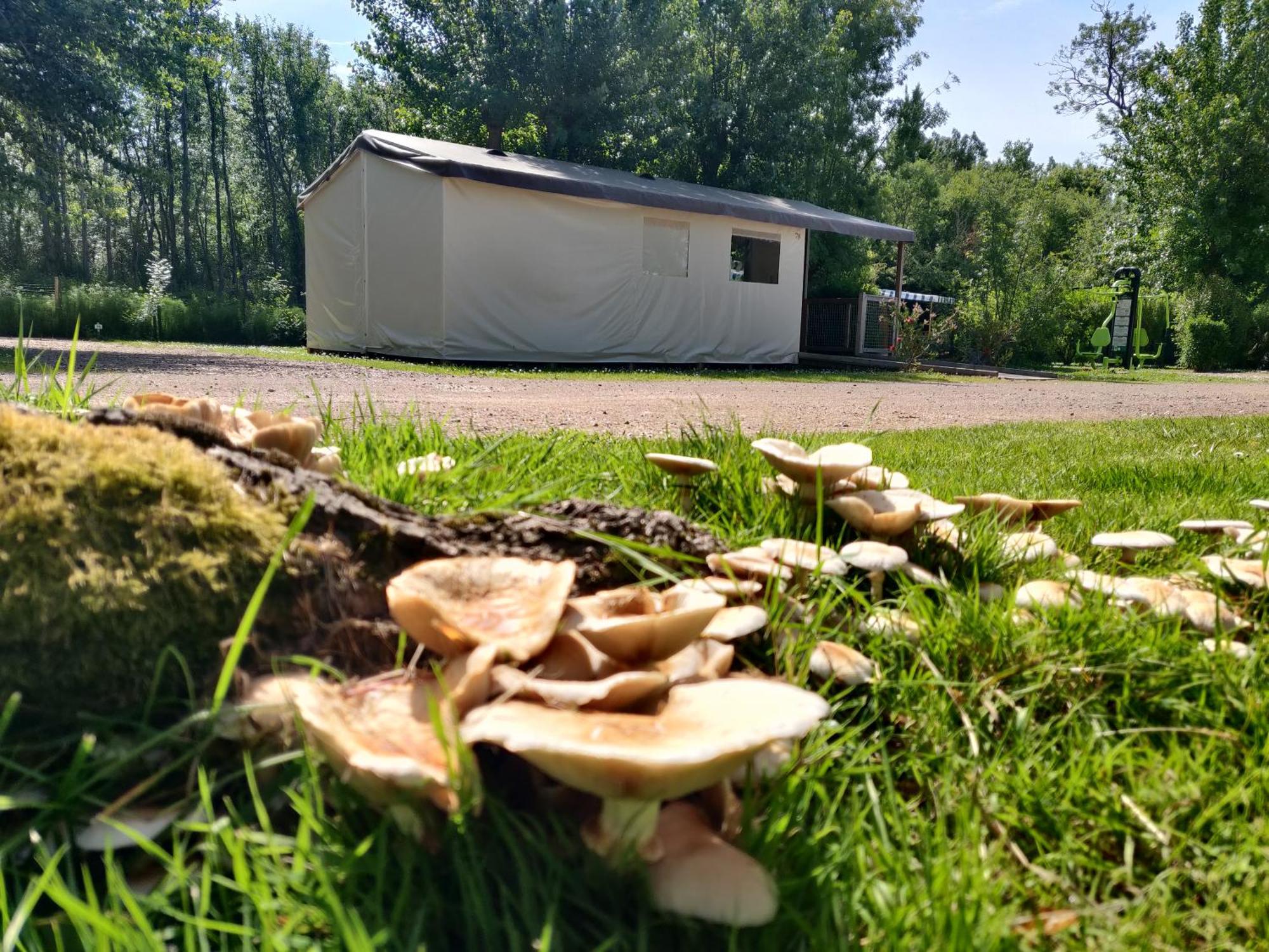 Camping Les Mancellieres Avrille  Экстерьер фото
