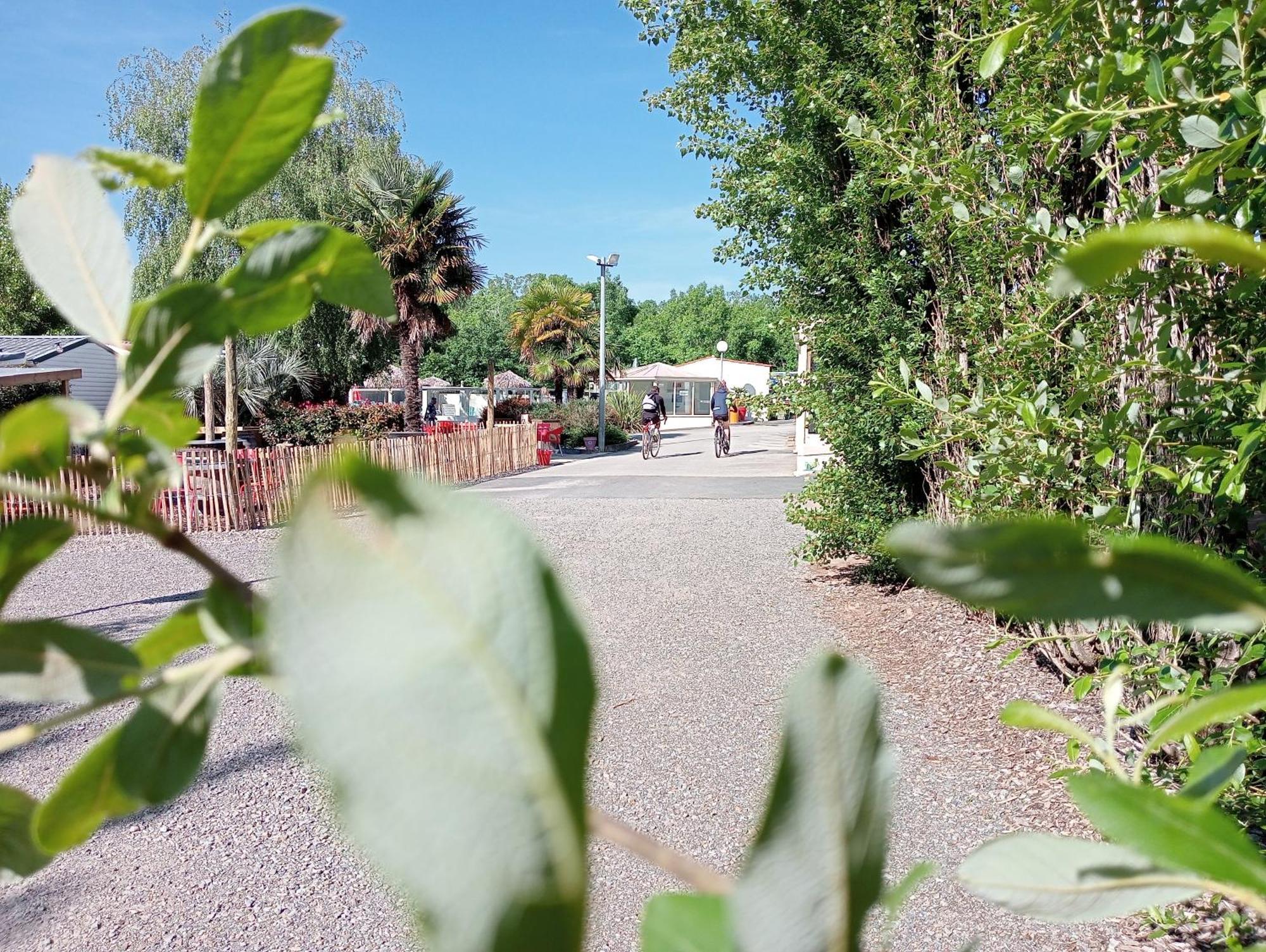 Camping Les Mancellieres Avrille  Экстерьер фото